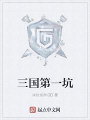 三国第一坑封面