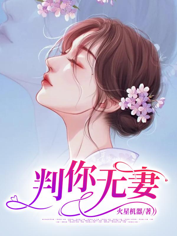 林云叶婉清封面