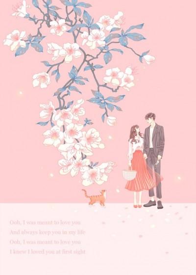 先婚后爱：陆总的隐婚娇妻封面