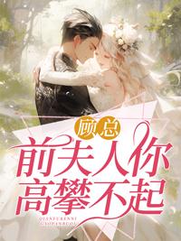 顾总现在的夫人你高攀不起了最新章节封面