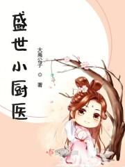 盛世小厨医封面