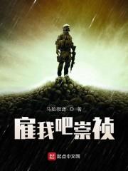 雇我吧崇祯封面