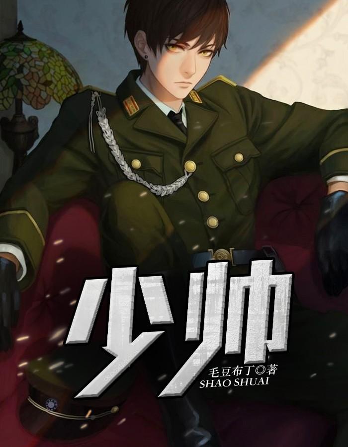 少帅项少龙封面