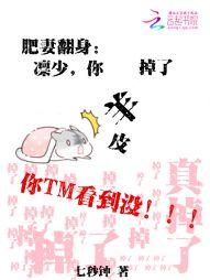 主角明曦紫桐小说封面