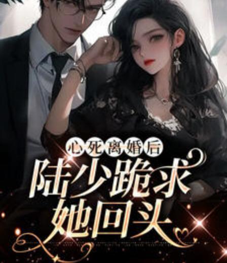 心死离婚后陆少跪求她回头封面