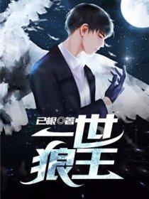 一世狼王封面