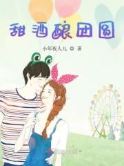 甜酒酿团圆封面