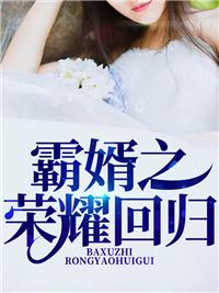 叶峰韩凝冰封面