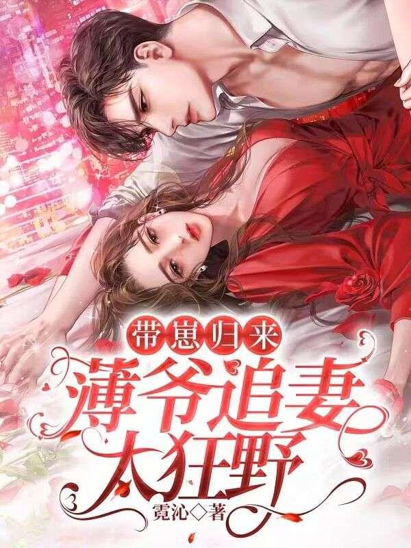 顾念安薄夜寒封面