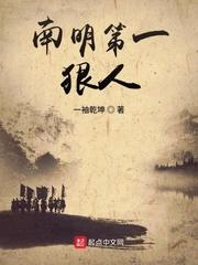 南明第一狠人封面