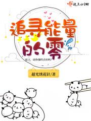 追寻能量的零封面