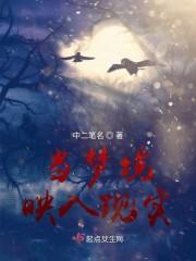 当梦境映入现实封面