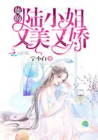 权繁槿傅厉琛封面