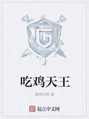 九皇子夏天荒州王司马兰封面