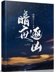 暗夜逐凶封面