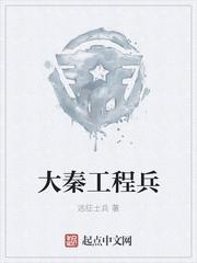 大秦工程兵封面