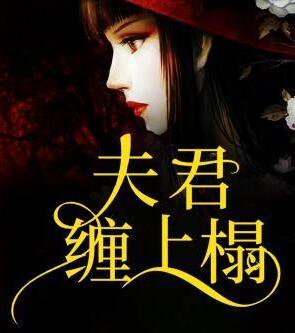 江君尧慕辞小说名字封面