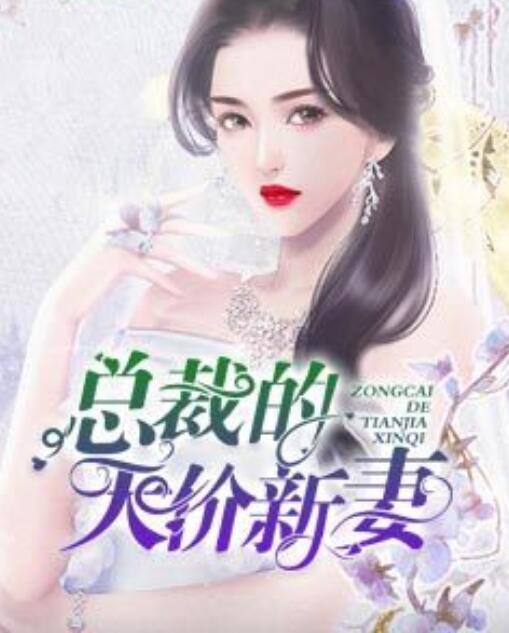 总裁的天价新妻封面