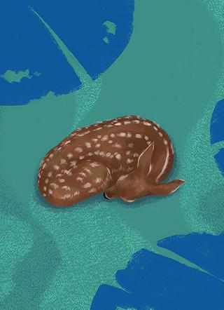 陆先生，别来无恙畅销巨作封面