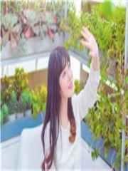 被网爆后我重生了封面