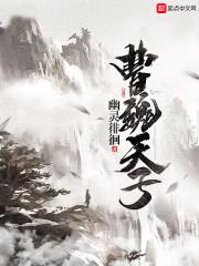 陆晋衍许安安封面