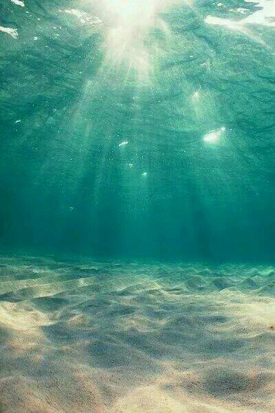 喝醉后，女神让我忘了她封面