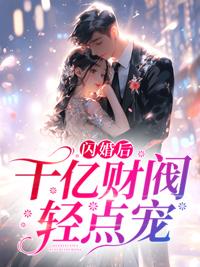 闪婚后,千亿财阀轻点宠封面