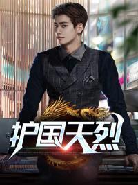 护国天烈封面