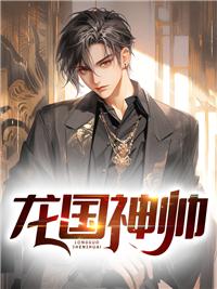 龙国神帅封面