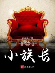 婚两年，霸总开启追妻之旅畅销巨著封面