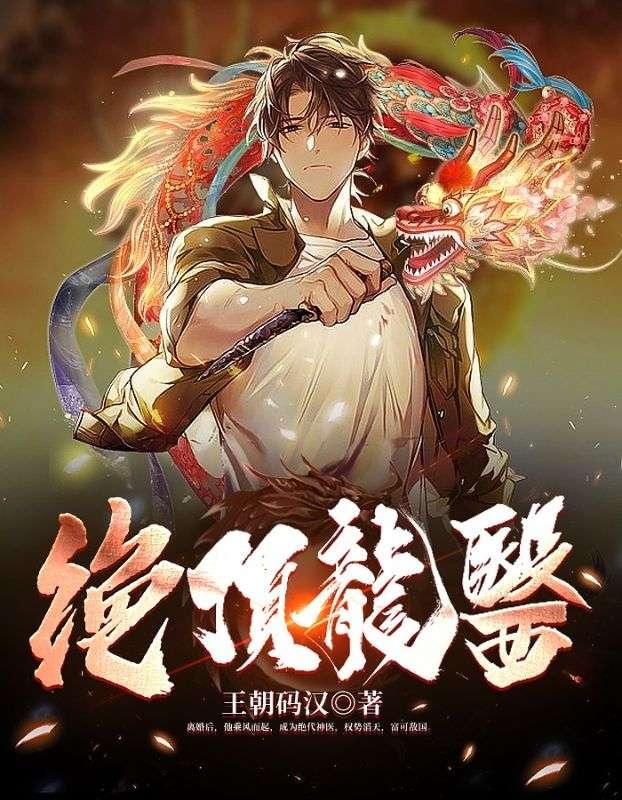 萧北苏婉小说书名叫什么封面