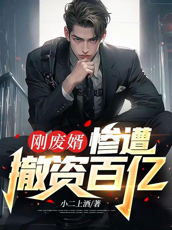 宁可安以心小说免费封面