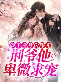 苏墨荆北霆免费阅读封面