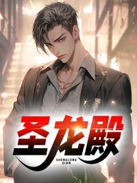 圣龙殿封面