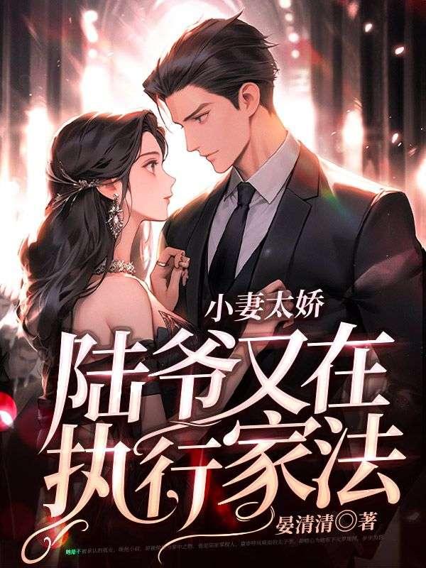 小妻太娇,陆爷又在执行家法的小说封面