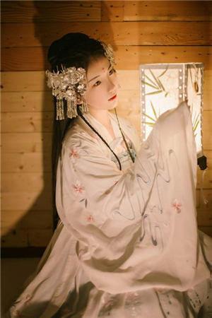 赵平安叶姚晴小说封面