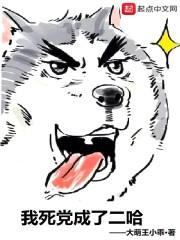 江玄柳明烟封面