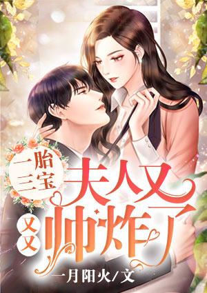 一胎三宝：夫人又又又帅炸了封面