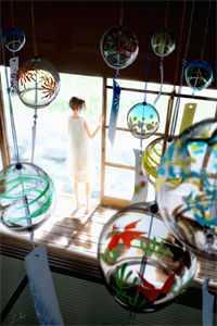 凤倾九重全文免费封面