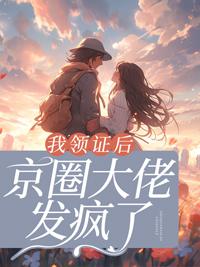 我领证后，京圈大佬发疯了封面