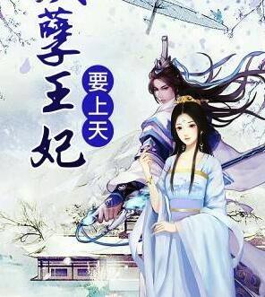 凤思吾夜凌寻封面