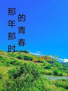 那年那时的青春封面