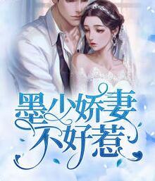 墨少娇妻不好惹封面