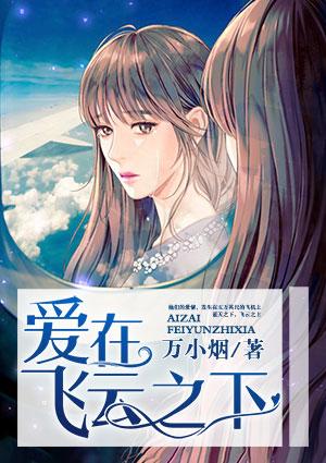 爱在飞云之下免费阅读封面