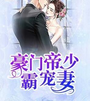 豪门帝少霸宠妻封面