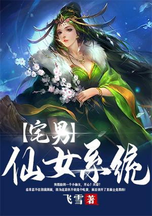 宅男仙女系统岳非封面