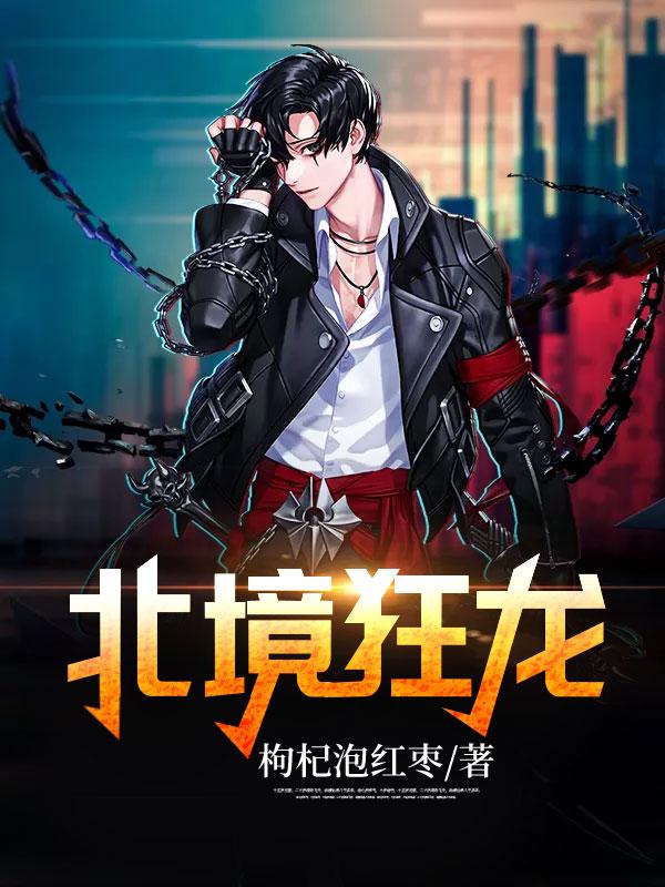 北境狂龙封面