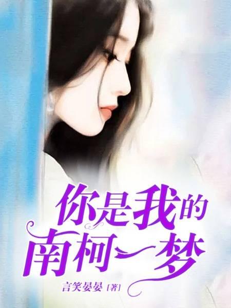 你是我的南柯一梦封面