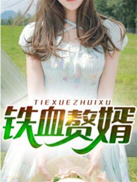 萧辰吴梦梦封面