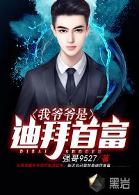 我爷爷是迪拜首富封面